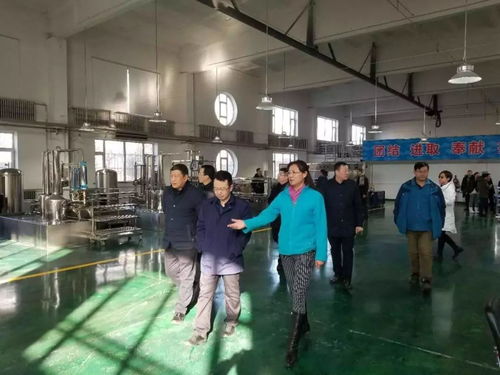 集團(tuán)總經(jīng)理王爽一行到水表廠 凈水劑分公司 四水廠進(jìn)行節(jié)日慰問并指導(dǎo)工作