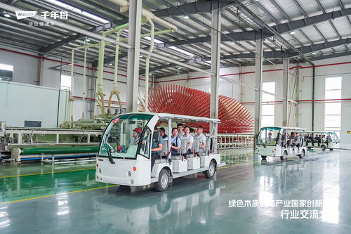 綠色溯源 品質(zhì)引領(lǐng)丨走進千年舟工廠,領(lǐng)略智能制造硬核實力