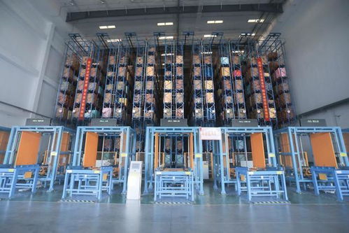 炒貨之都 合肥孕育這家瓜子企業(yè),用數(shù)字化控供應鏈 合肥新質(zhì)觀⑧.視頻